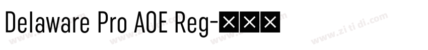 Delaware Pro AOE Reg字体转换 Delaware Pro AOE Reg字体转换